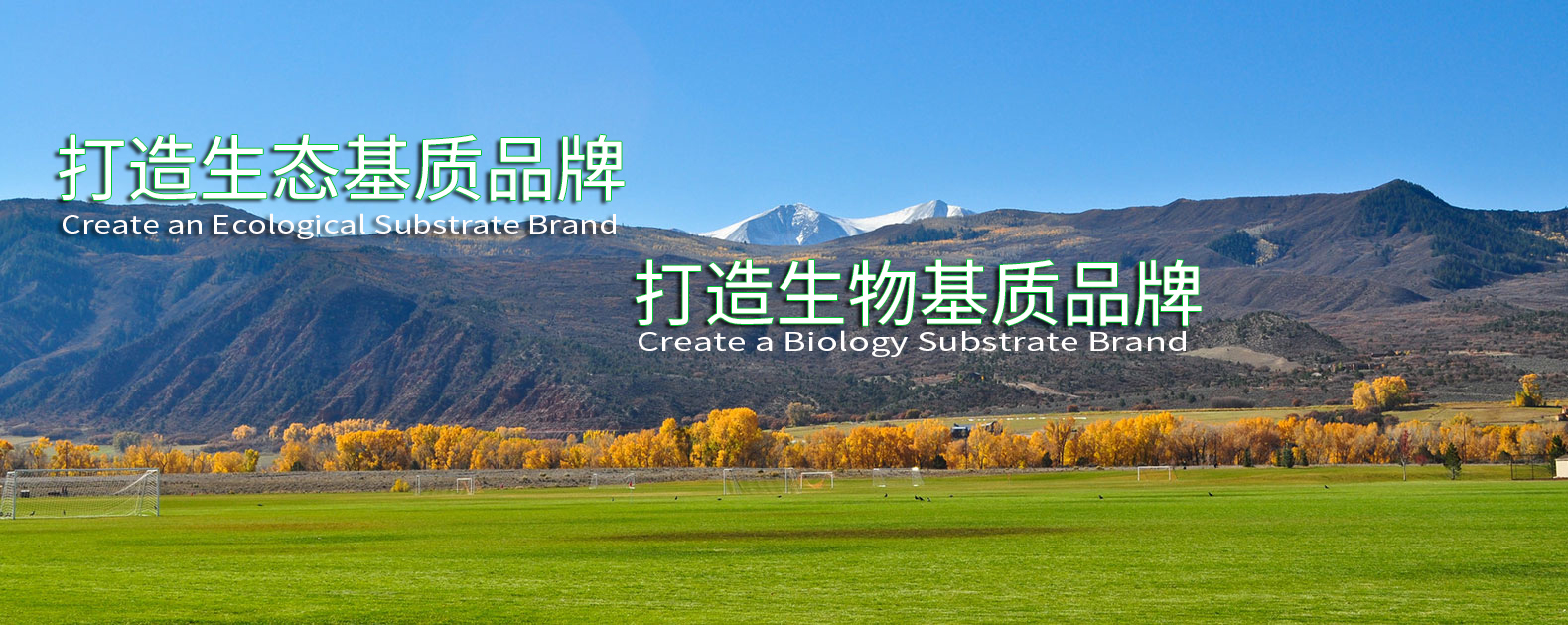 中国·365电子游戏(股份)有限公司-官方网站