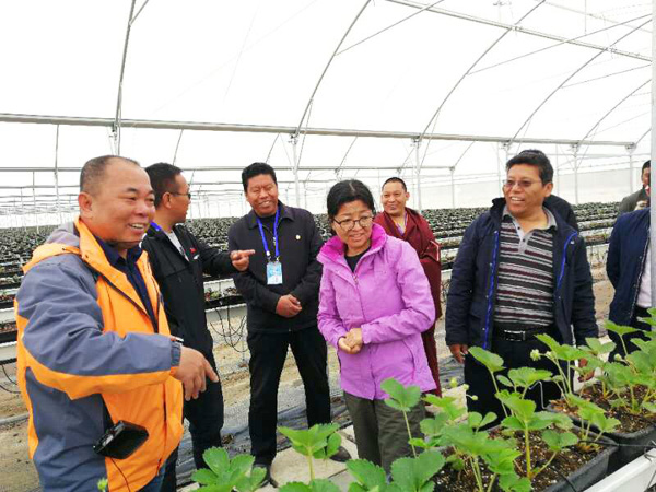 中国·365电子游戏(股份)有限公司-官方网站