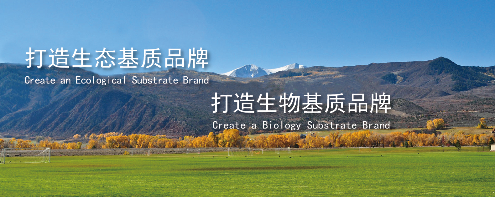 中国·365电子游戏(股份)有限公司-官方网站