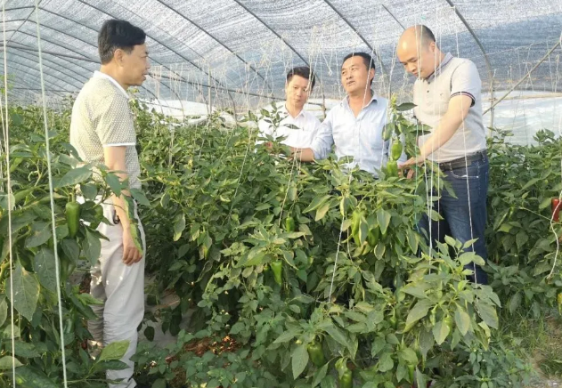 中国·365电子游戏(股份)有限公司-官方网站
