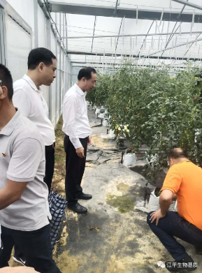 中国·365电子游戏(股份)有限公司-官方网站
