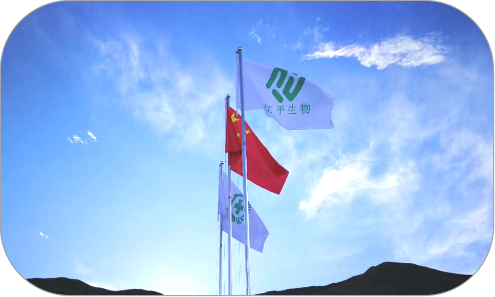 中国·365电子游戏(股份)有限公司-官方网站