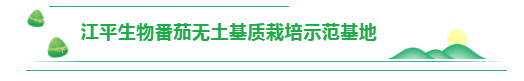 中国·365电子游戏(股份)有限公司-官方网站
