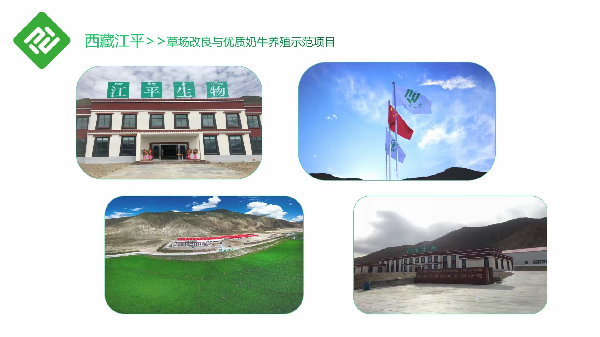 中国·365电子游戏(股份)有限公司-官方网站