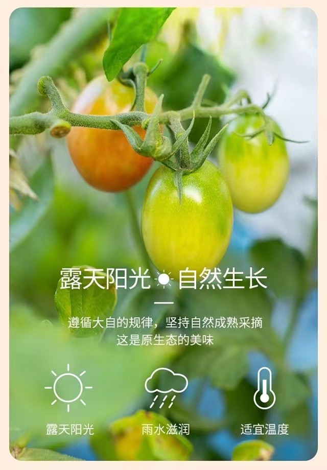 中国·365电子游戏(股份)有限公司-官方网站