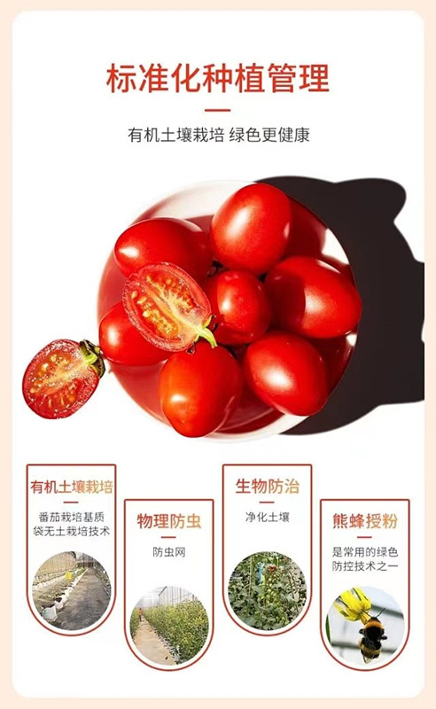 中国·365电子游戏(股份)有限公司-官方网站