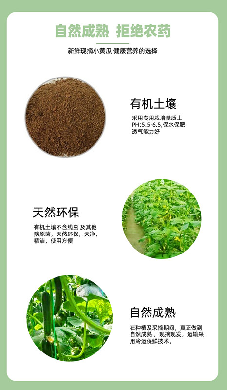 中国·365电子游戏(股份)有限公司-官方网站