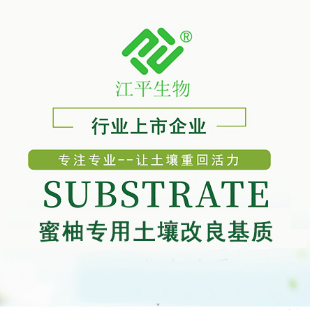 中国·365电子游戏(股份)有限公司-官方网站
