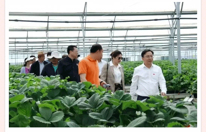 中国·365电子游戏(股份)有限公司-官方网站